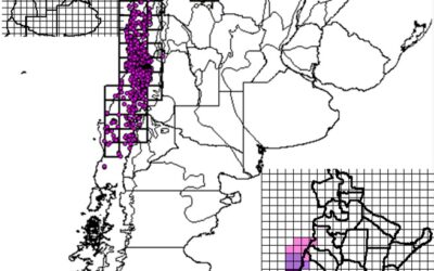 Seminarios IAMRA | «Áreas de endemismo de plantas vasculares en el cono sur»