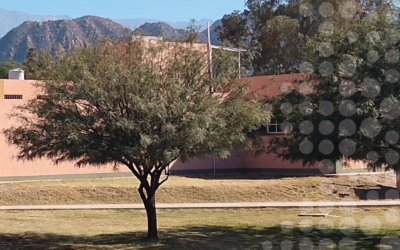 Investigación | El rol de la UNdeC en el Día del Árbol