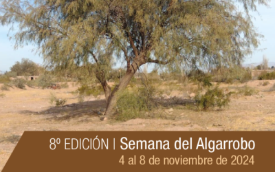 Investigación | 8º Edición de la Semana del Algarrobo